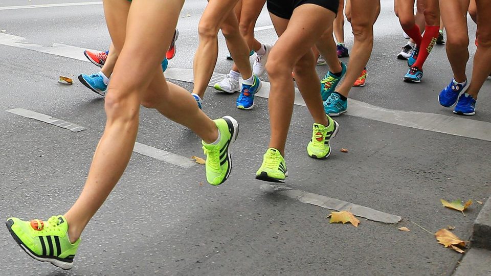 Milli sporcular eylül ayında müsabakalarda boy gösterecek