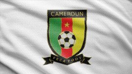 Dünya Kupası'nda G Grubu: Kamerun