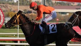 85. Cumhurbaşkanlığı Koşusu'nu "Taylolo" kazandı