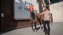 Bursa At Hastanesi'nde yarış atları 7/24 tedavi ediliyor