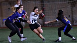 Tek federasyonda "olimpik" dört branş